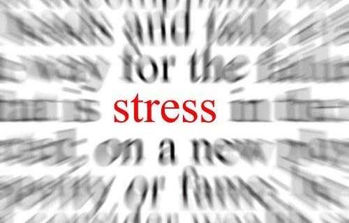 Social stress messes up the hippocampus