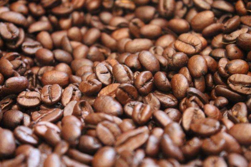 Some commercial coffees contain high levels of mycotoxins