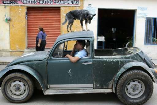 Some old Beetles can still be found on Mexican streets, such as this modified model in Buenavista de Cuellar, Guerrero State, in