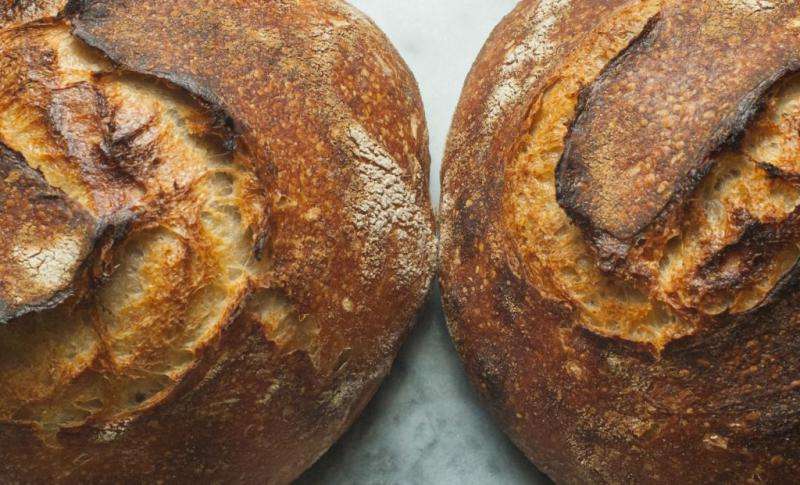 Sourdough made from specific bacteria key to tasty, salt-reduced bread
