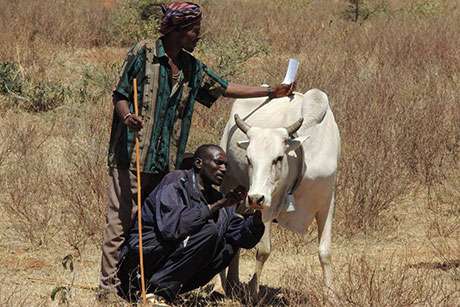 Space-age technology points African herders in right direction