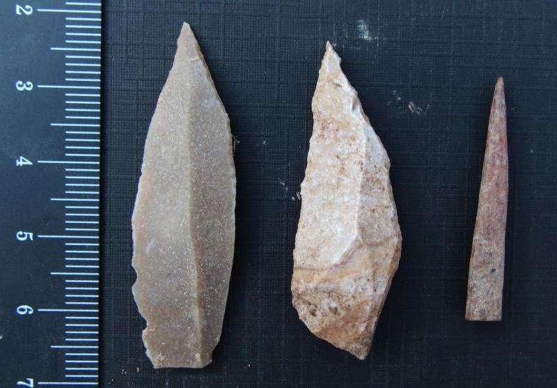 Stone tools from Jordan point to dawn of division of labor