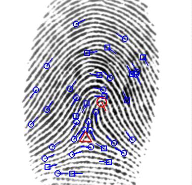 Stuck on you: Research shows fingerprint accuracy stays the same over time