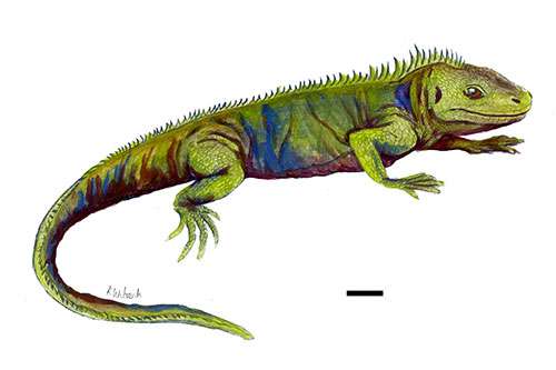 Student researcher identifies Gloucestershire fossil as new species of ancient reptile