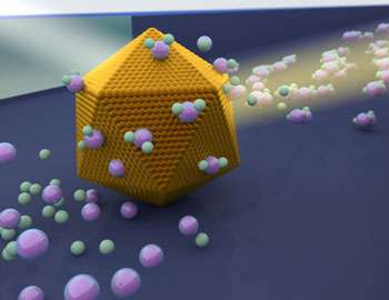 Studies of individual nanoparticles can be the key to future catalysis