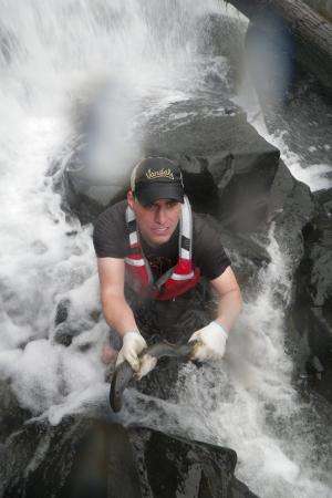 Study finds lamprey decline continues with loss of habitat in Oregon