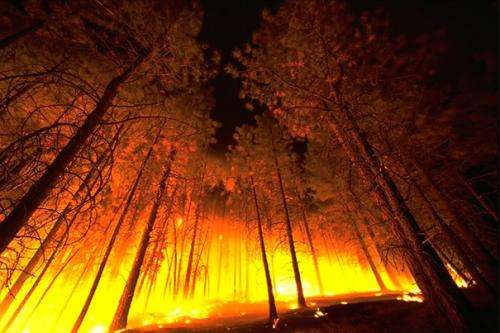 Study may help to predict forest fires’ sudden, sometimes deadly switch from slow to fast moving