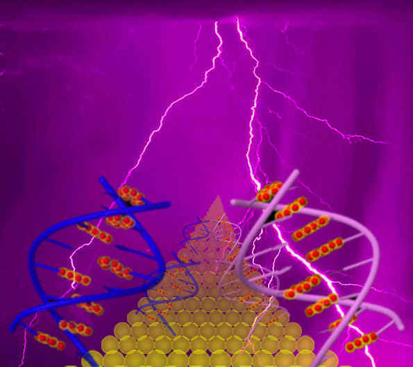 Study shows novel pattern of electrical charge movement through DNA