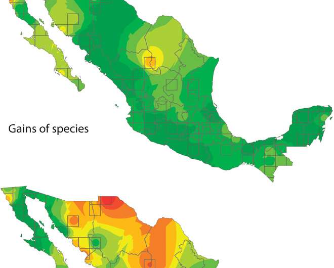 Study: Temperature a dominant influence on bird diversity loss in Mexico