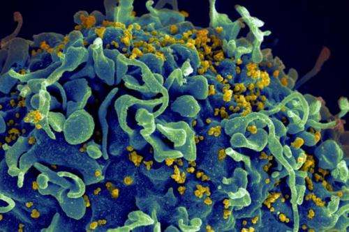 Study yields insight into generating antibodies that target different strains of HIV