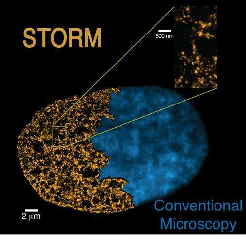 Super-resolution microscopes reveal the link between genome packaging &amp; cell pluripotency
