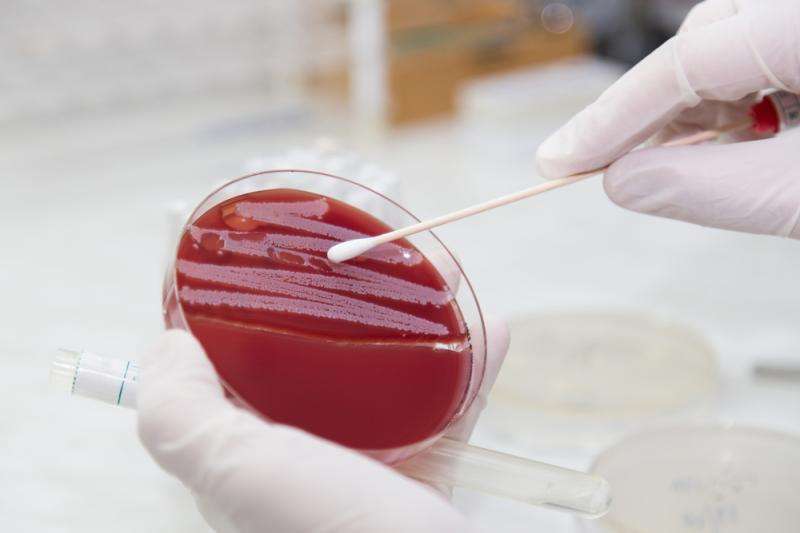 Surprisingly, low-toxin MRSA strains may be the real killer