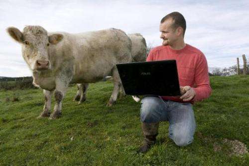 Sylvain Frobert, a cattle breeder who uses the website &quot;trouverlebontaureau.com&quot; (find the right bull), poses with his