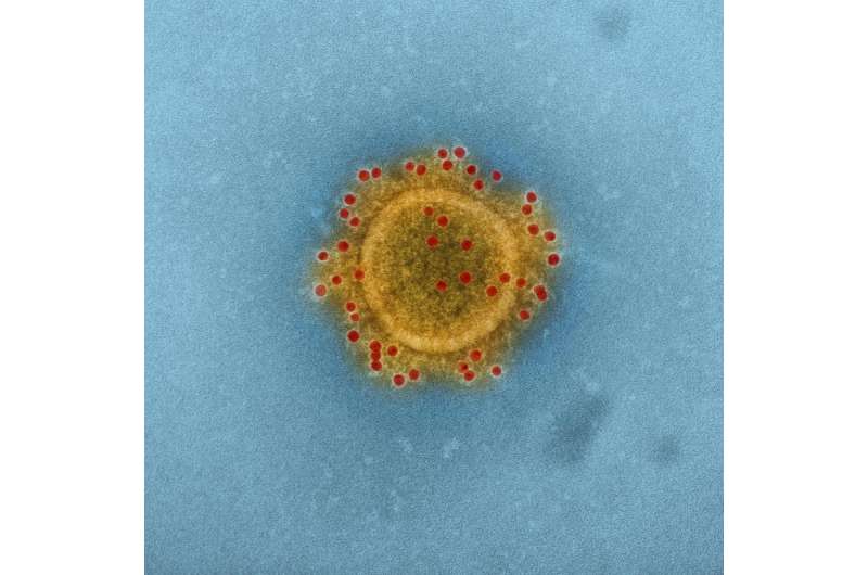 Synthetic DNA vaccine against MERS induces immunity in animal study