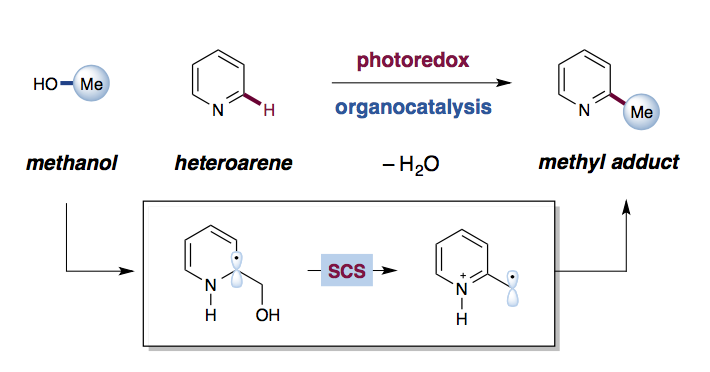Taking a cue from nature: Turning alcohols into alkylating agents