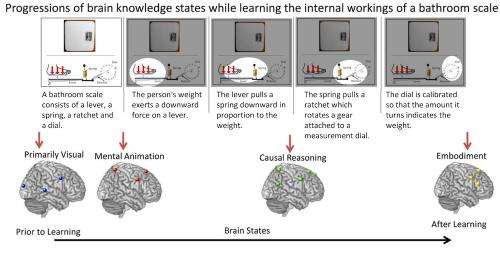 Teaching science to the brain: How the brain learns the way things work