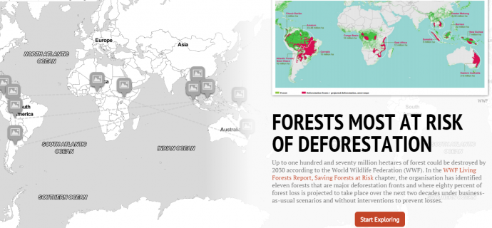 Telling the story of the world’s most at-risk forests