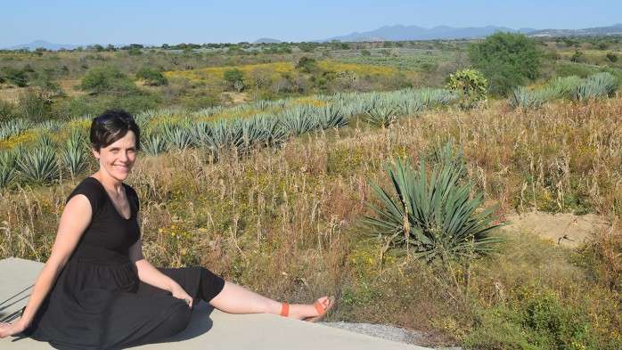 Tequila, mezcal and social science—a Q&A with sociologist Sarah Bowen