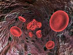 Testing new therapies to effectively combat anaemia
