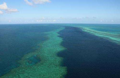 The 35-year plan for the Great Barrier Reef includes a complete and permanent ban on the dumping of capital dredge material in t