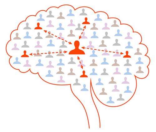 The brain's social network: Nerve cells interact like friends on Facebook