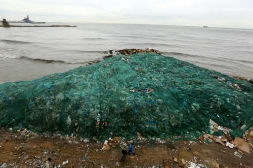 The build-up of plastic waste in the oceans can be deadly for marine life