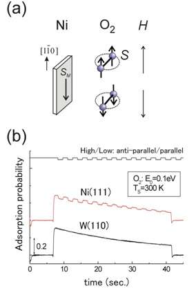 The effect of molecular oxygen electron spin on the surface oxidation reaction