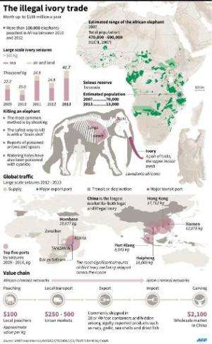 The illegal ivory trade