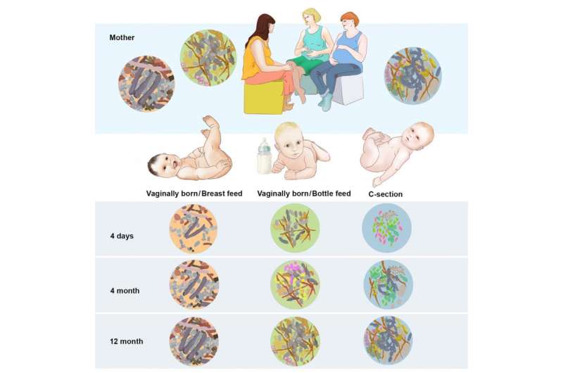 The infant gut microbiome: New studies on its origins and how it's knocked out of balance