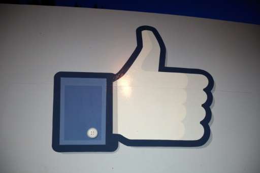 The Internet giant &quot;works hard every day to protect people on Facebook against abuse, hate speech and bullying&quot;, the c