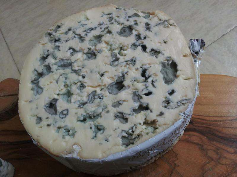 The life and times of domesticated cheese-making fungi