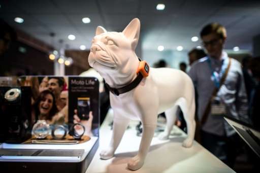 The Motorola Scout5000, a special GPS equipped electronic collar for dogs,  is displayed at the Hong Kong Electronics Fair in Ho