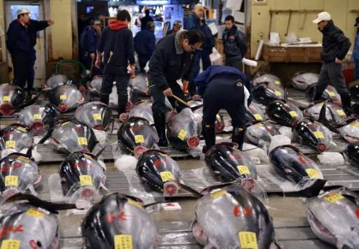 The Pew Charitable Trusts says the bluefin and bigeye tuna species could become severely depleted after the Western and Central 