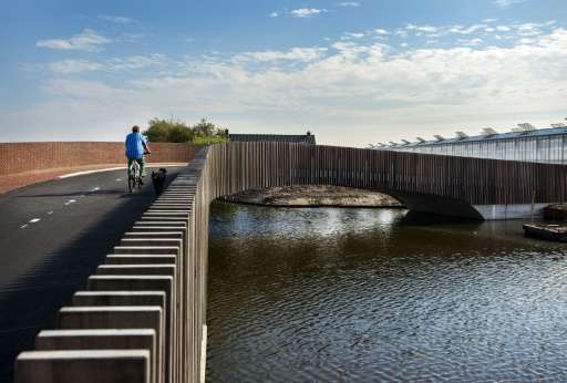 The &quot;batbridge&quot; in the Dutch town of Monster is designed with special cavities for bats to hunker down in to hibernate