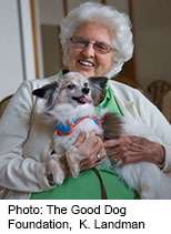 Therapy dogs may help patients persevere with cancer treatment
