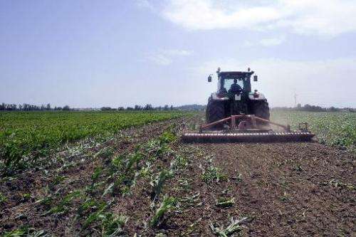 The report found that less than six percent of farmland in Europe was used for organic production in 2012