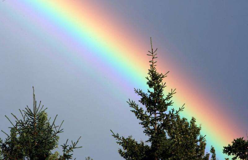 The resplendent inflexibility of the rainbow