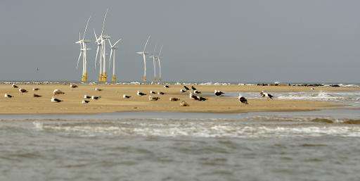The Scroby Sands wind farm off the Norfolk coast