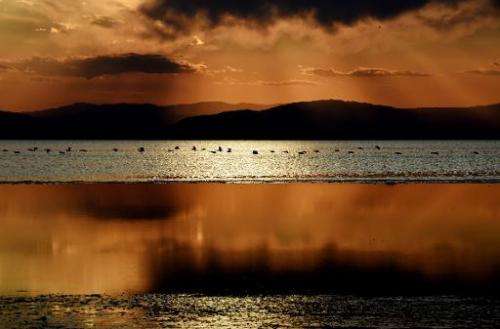 The sun sets as water birds fly near Red Hill Marina at the Salton Sea, California on March 19, 2015
