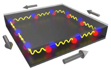 The topolariton, a new half-matter, half-light particle