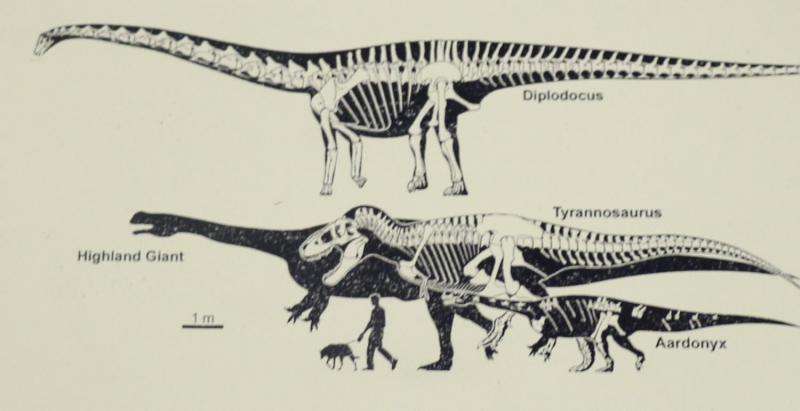 Thighbone of giant dinosaur revealed