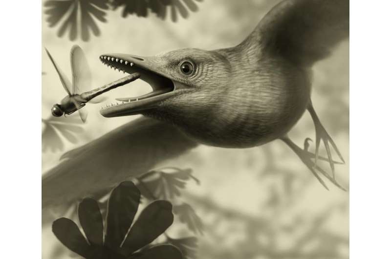 Tiny ancient fossil from Spain shows birds flew over the heads of dinosaurs