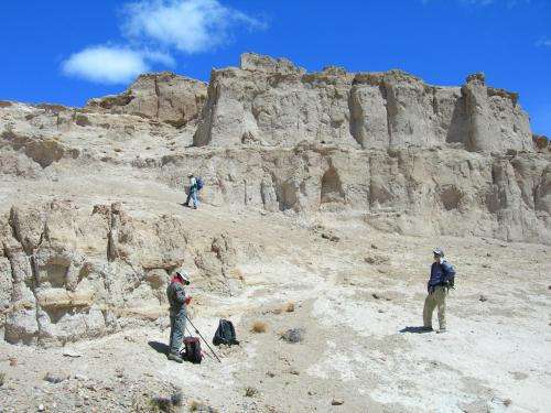 Tiny plant fossils a window into Earth's landscape millions of years ago