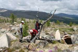 Tree rings confirm unprecedented warming in Central Asia