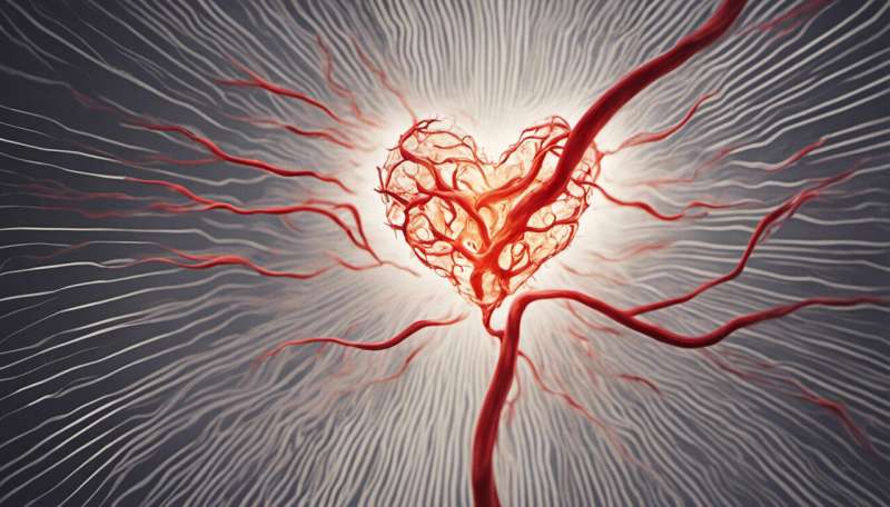 Tweaking the heart’s response to injury could lead to better treatment