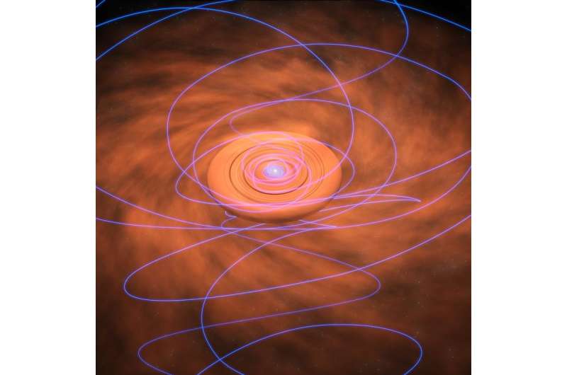 Twisted magnetic fields give new insights on star formation