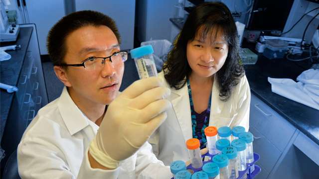 Two proteins work together to help cells eliminate trash and Parkinson's may result