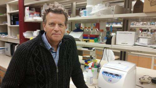 UAlberta researchers wind up a 40 year old debate on betaretrovirus infection in humans