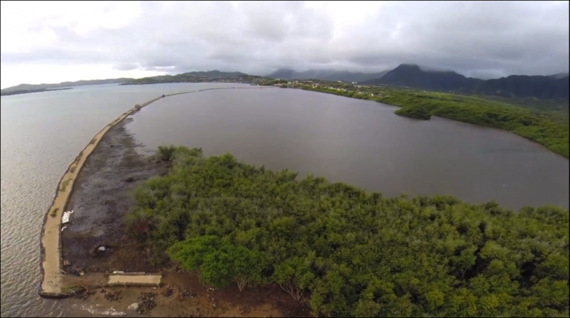 Undergraduates make discoveries in Hawaiʻi from mountain to sea