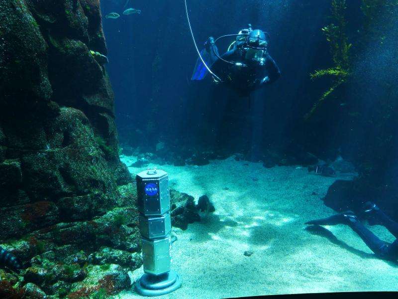 Under-ice rover chills with fish at aquatic exhibit